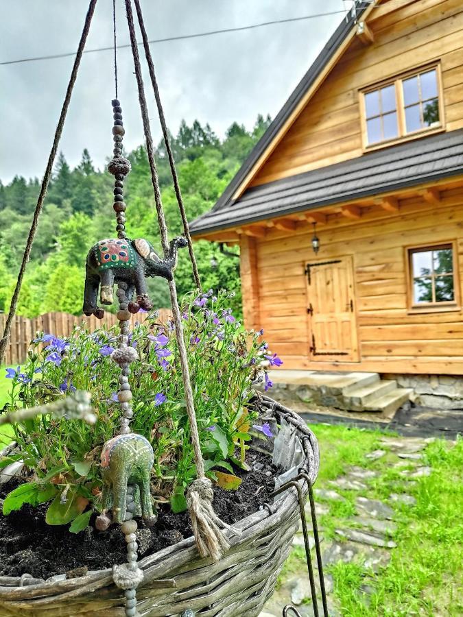 Fajna Chatka Ustrzyki Dolne Luaran gambar